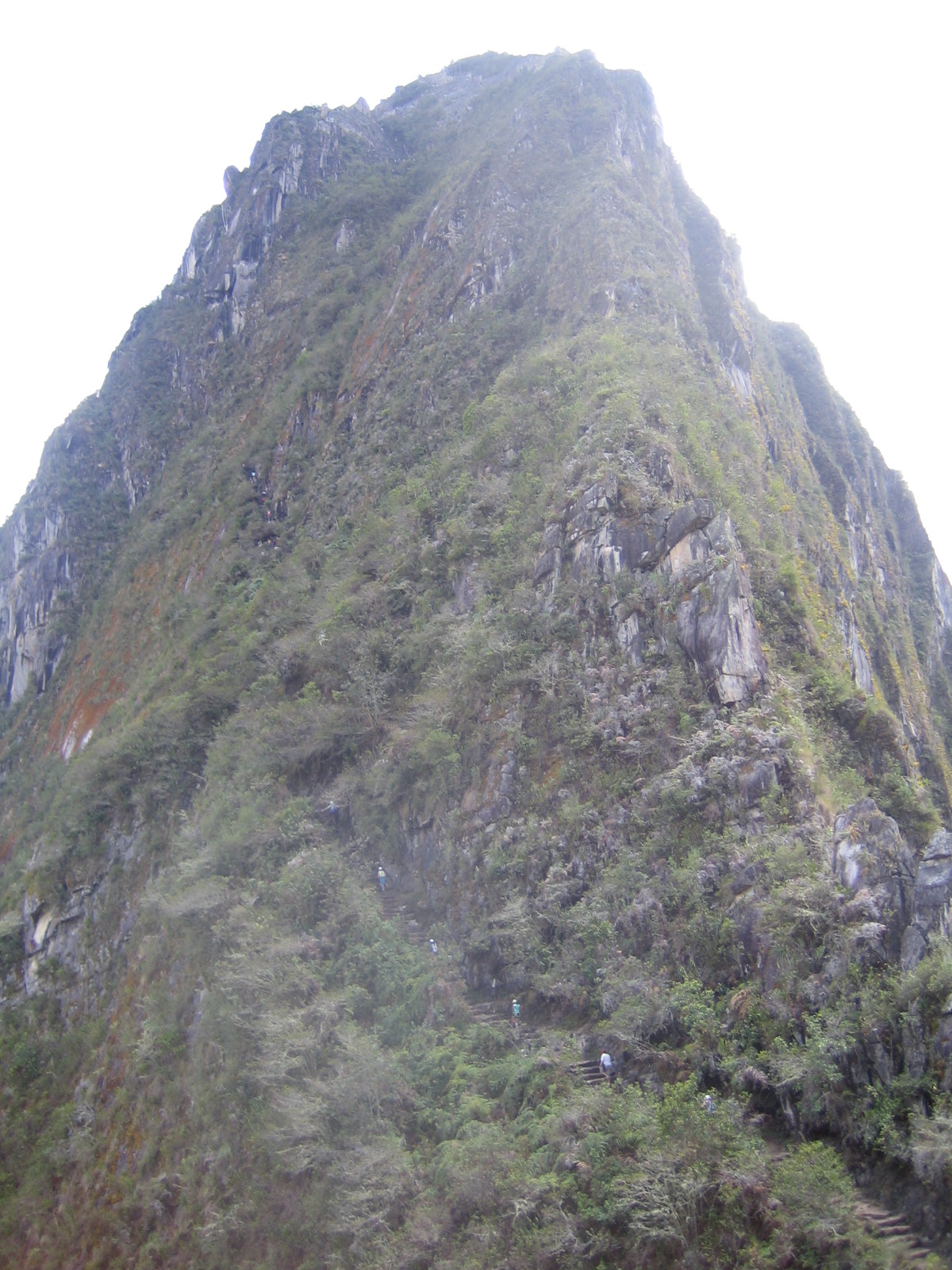 Waynapic
