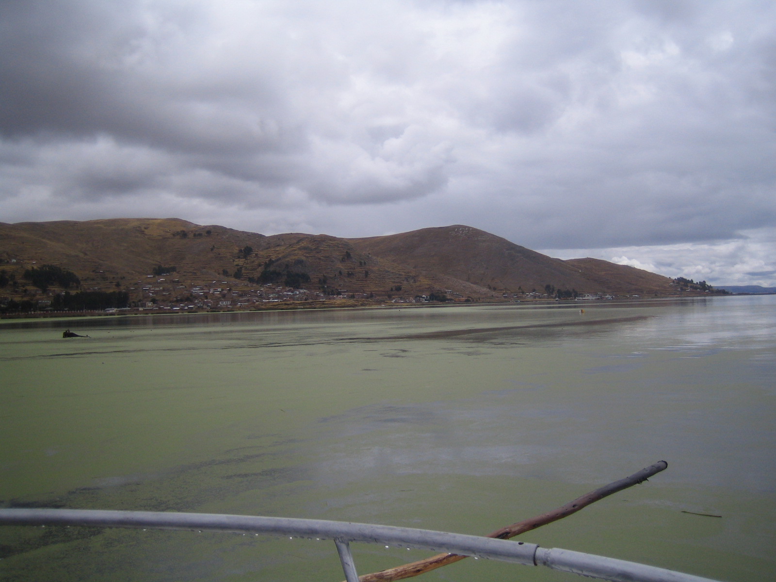 Titikakasee