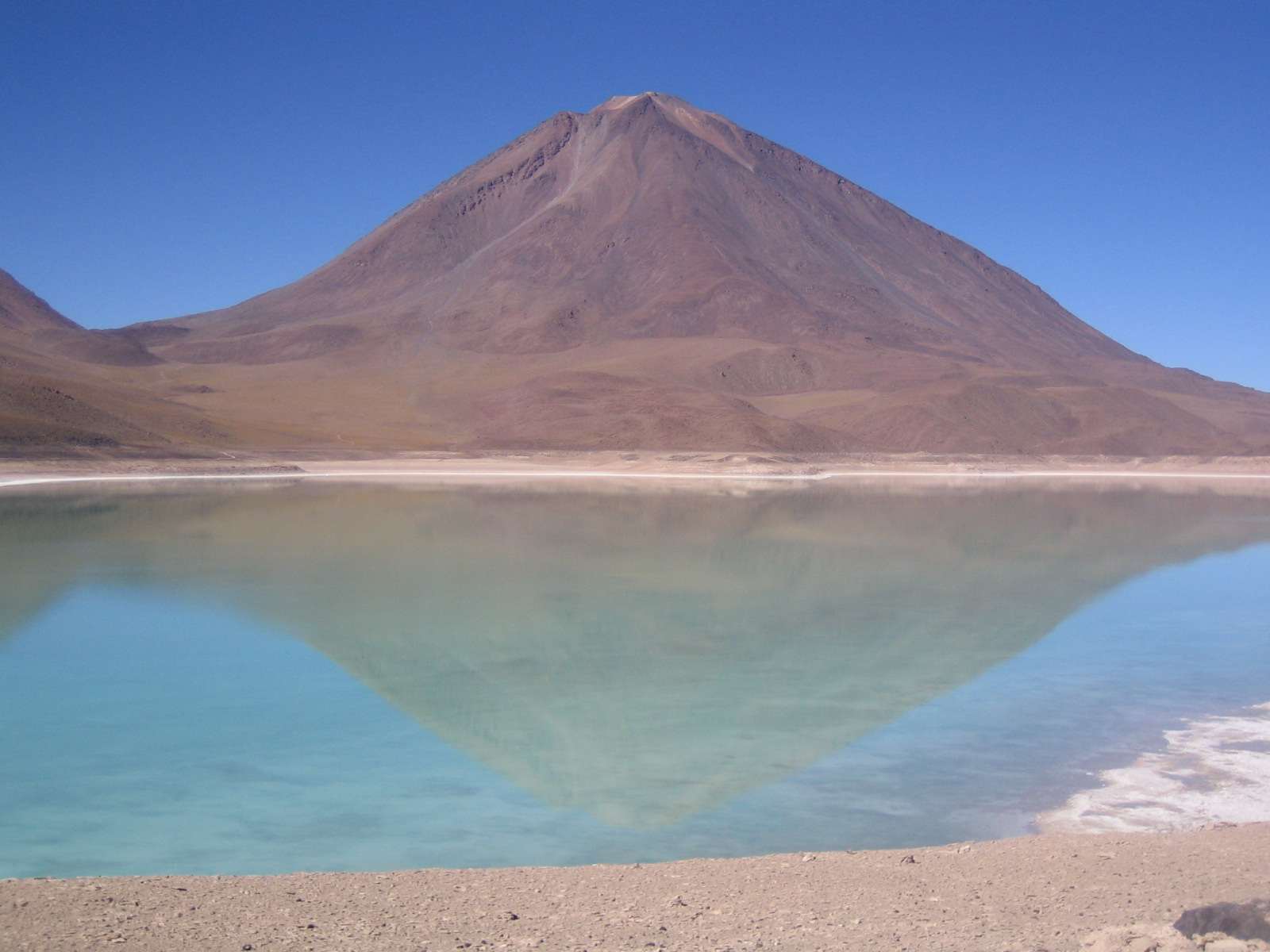 imagen-730.jpg