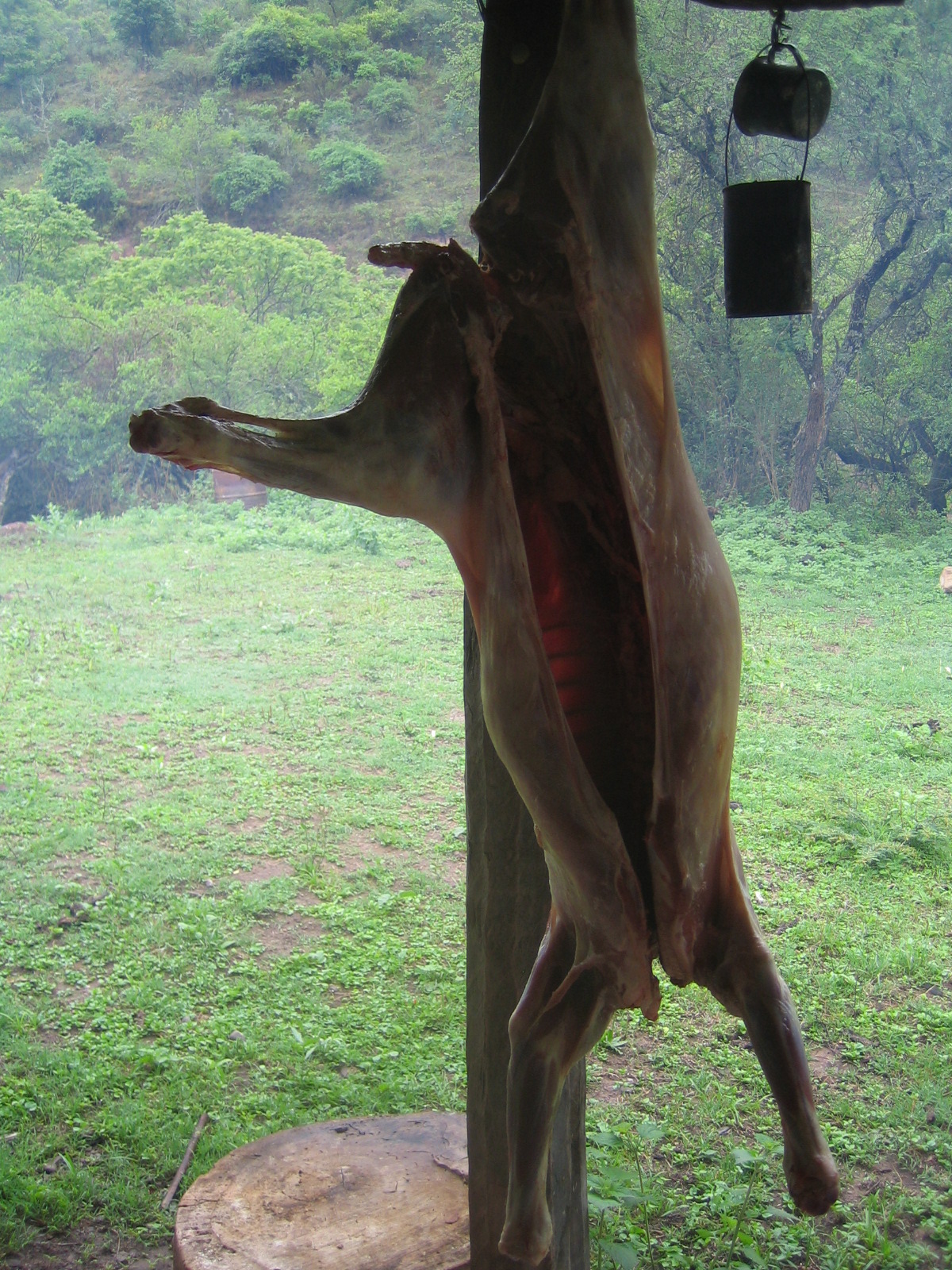 imagen-758.jpg