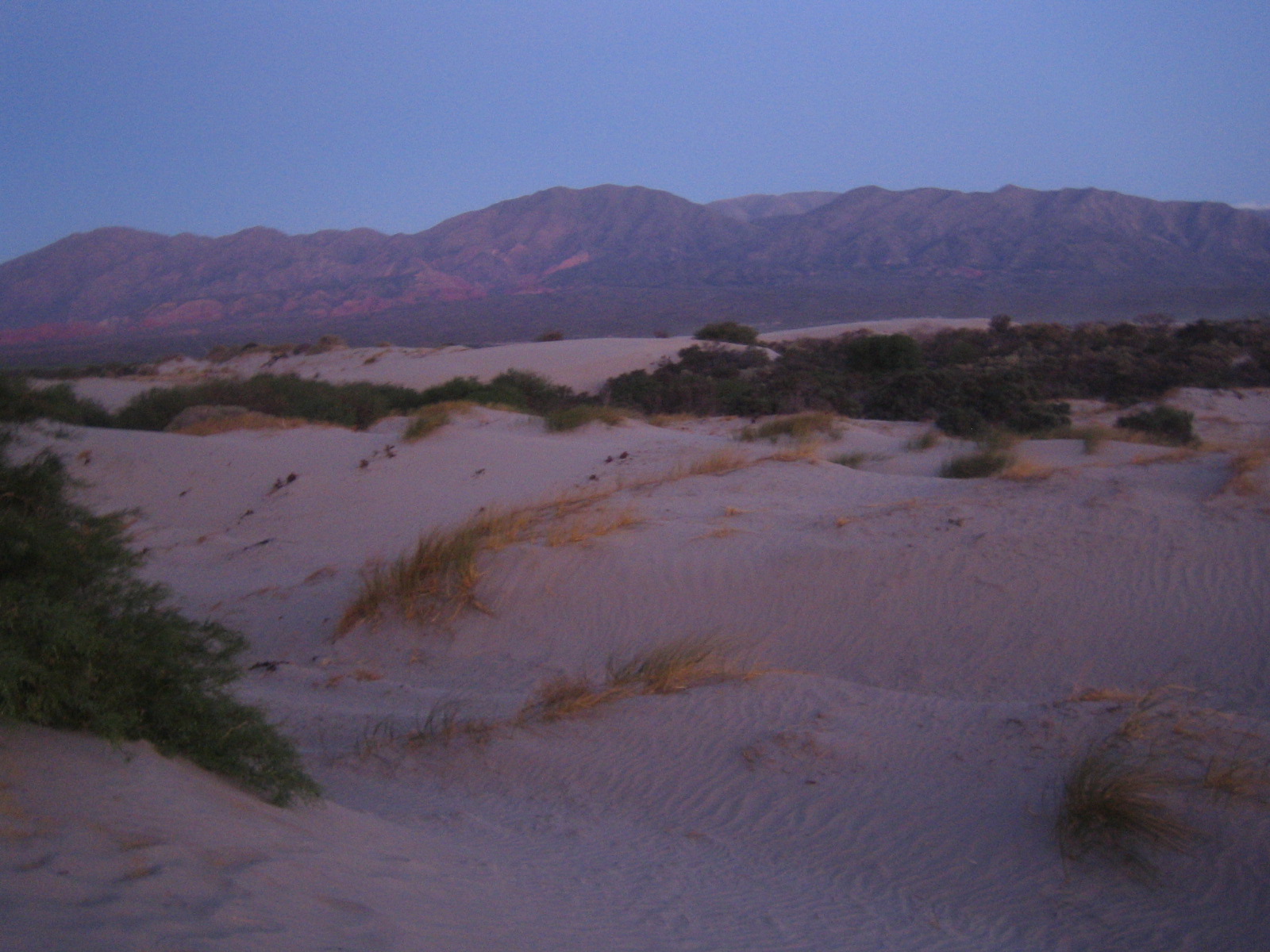 imagen-786.jpg